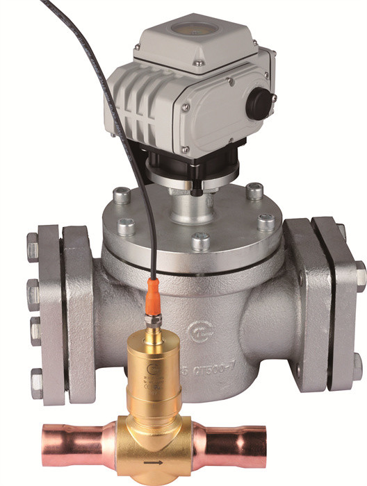 DN4 - DN200 球状電気膨張弁 精度 液圧 4.5MPA 重荷用